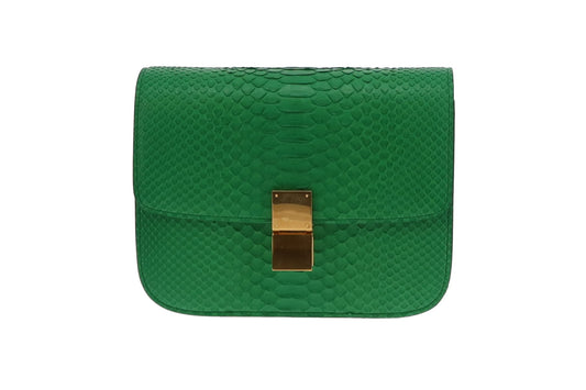 Celine Grass Green Medium Python Box Bag