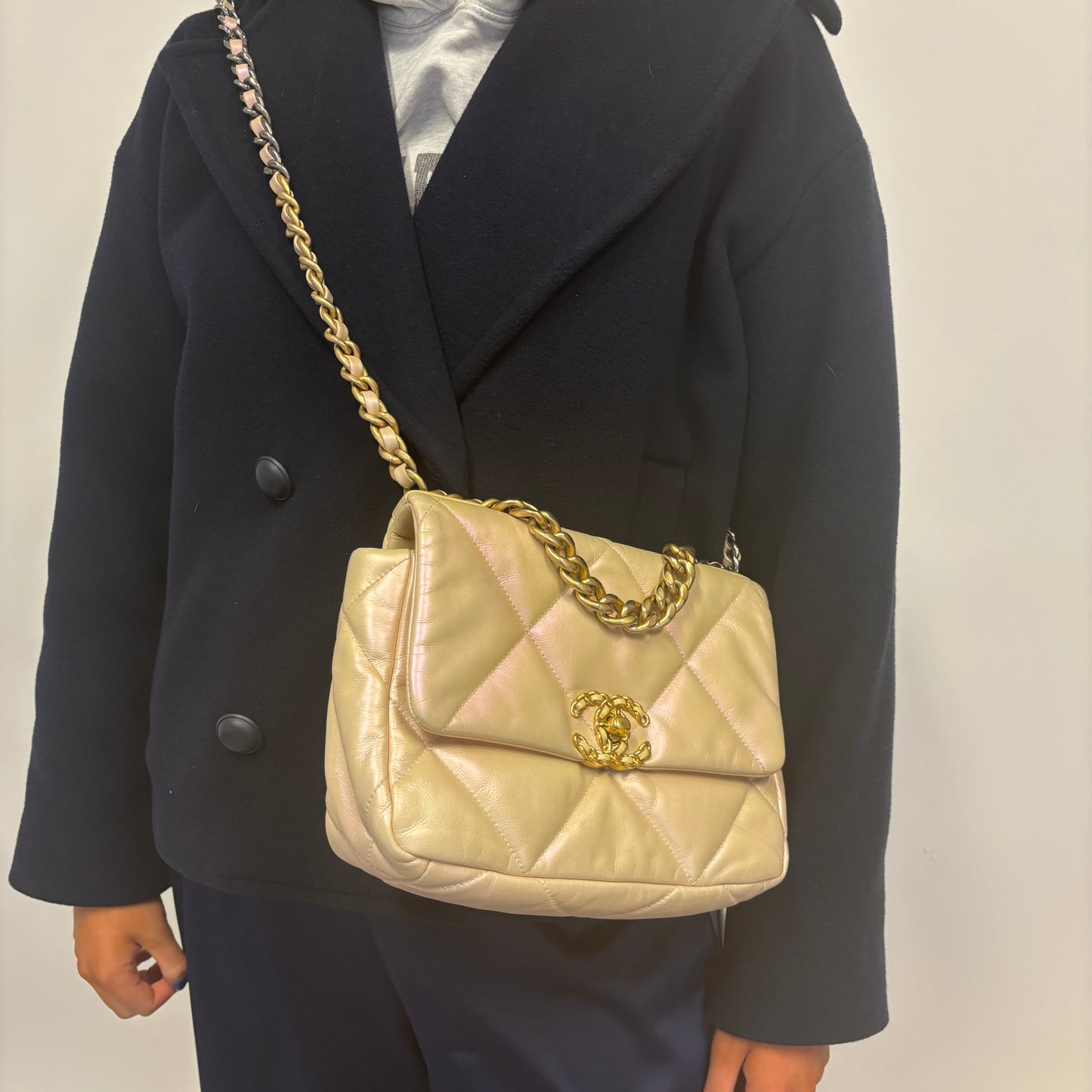 Chanel 19 Iridescent Leather Small (NFID)