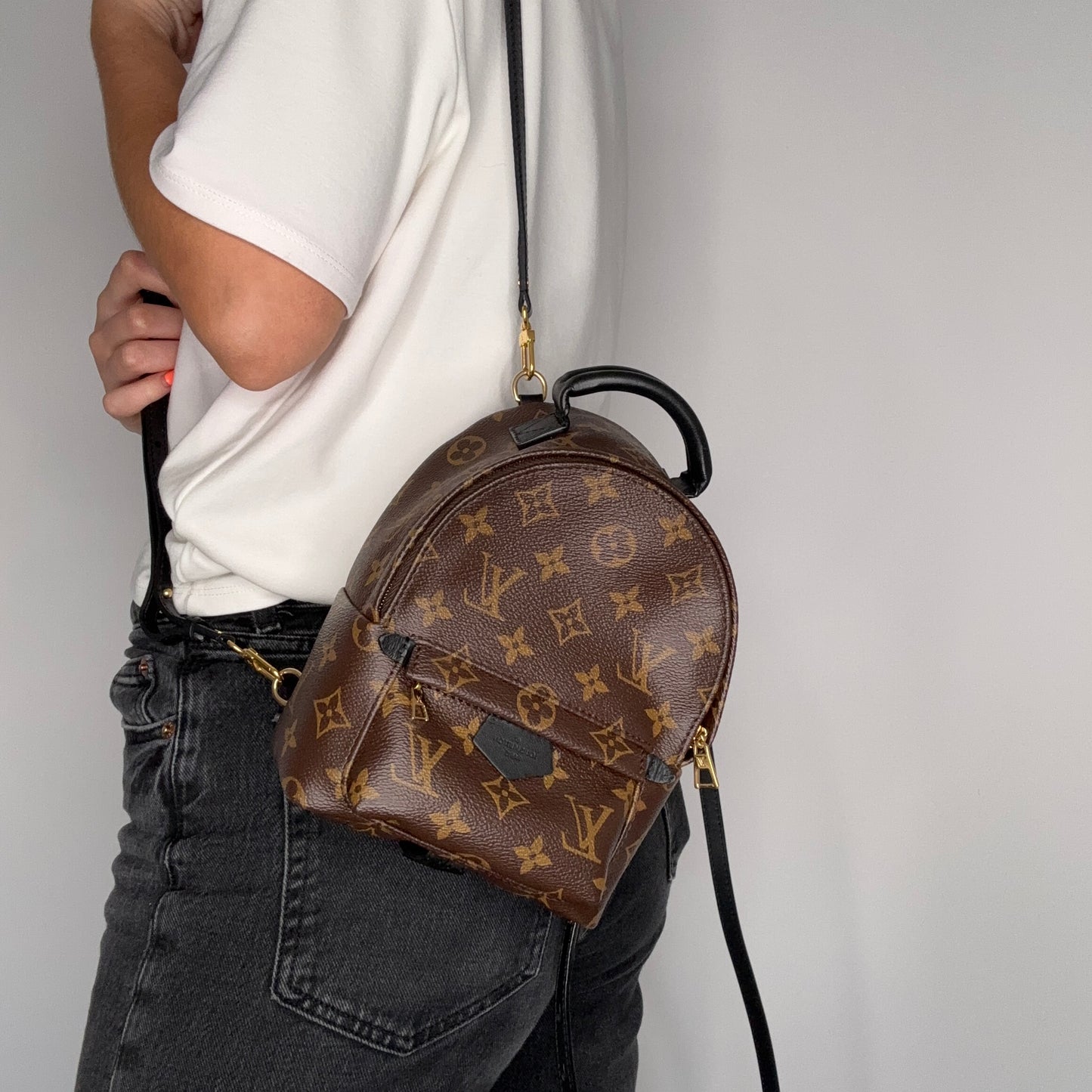 Louis Vuitton Palm Springs Mini Monogram (old model)