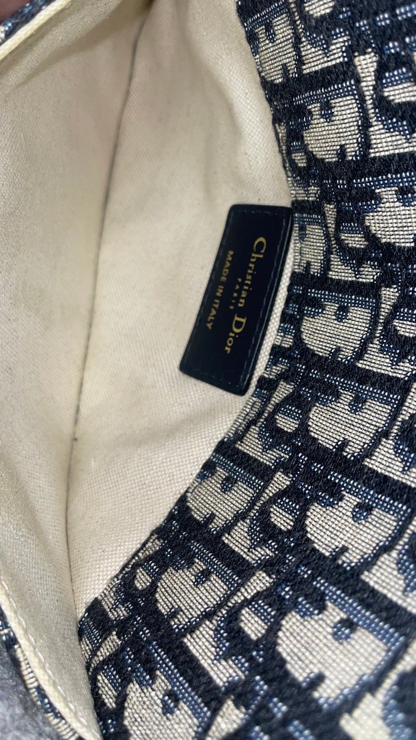 Christian Dior Oblique Saddle Belt Pouch 2019