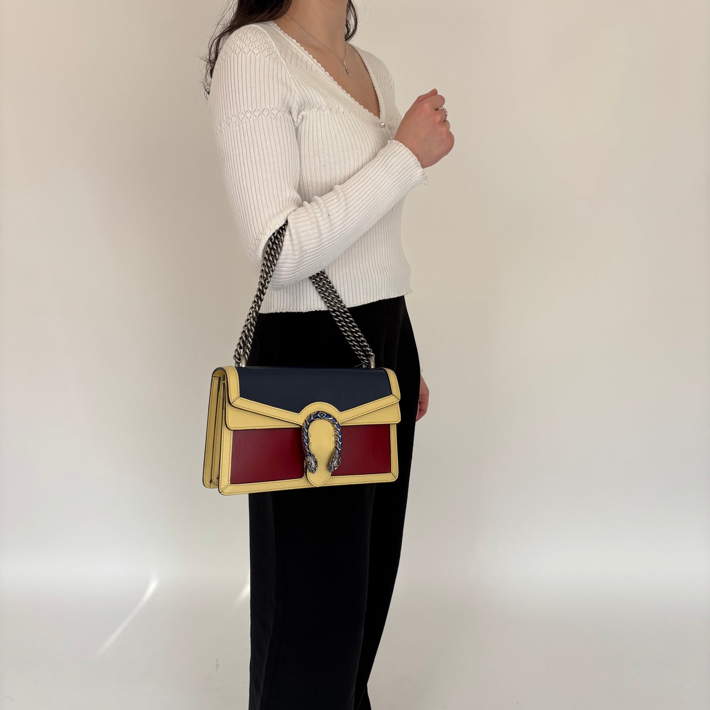 Gucci Dionysus Ltd Colour Block Small