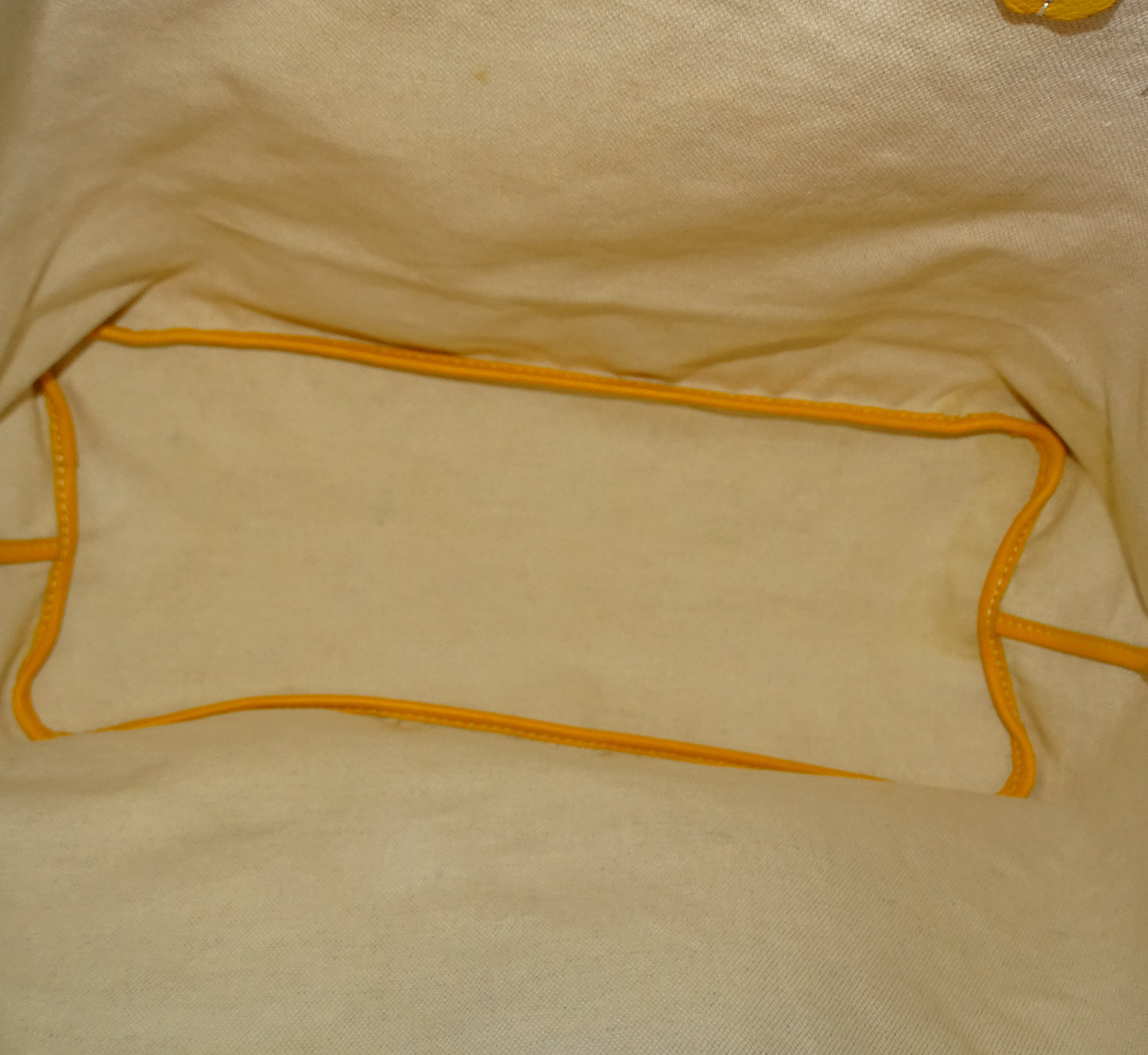 Goyard Saint Louis PM Yellow