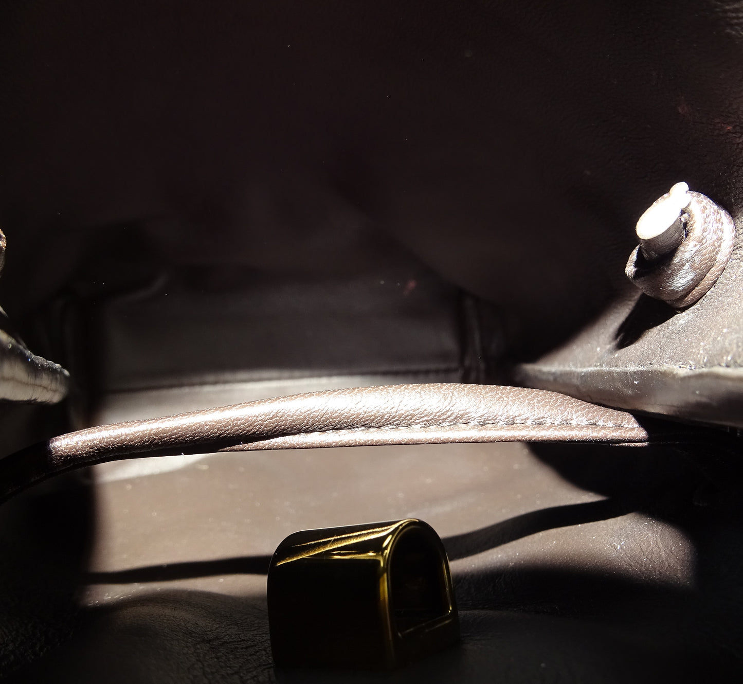 Bottega Veneta Andiamo Phone Pouch Fondant GHW