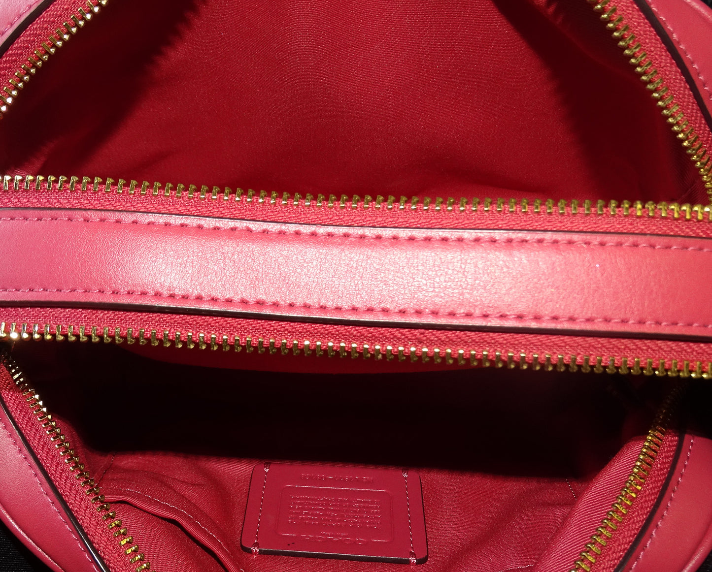 Coach Jes Camera Bag Large Signature Canvas and Pink Leather