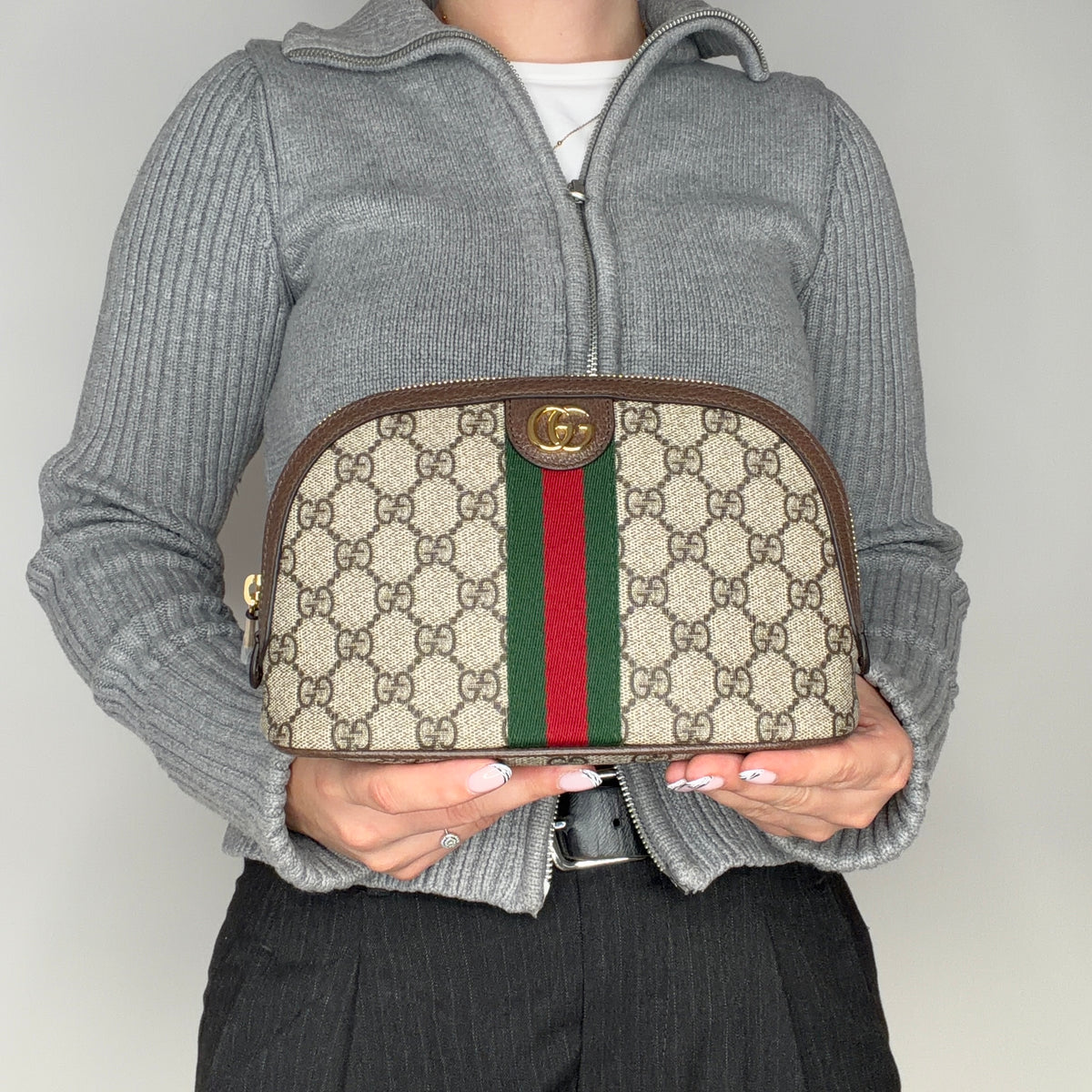 Gucci Ophidia Cosmetic Bag GG Supreme