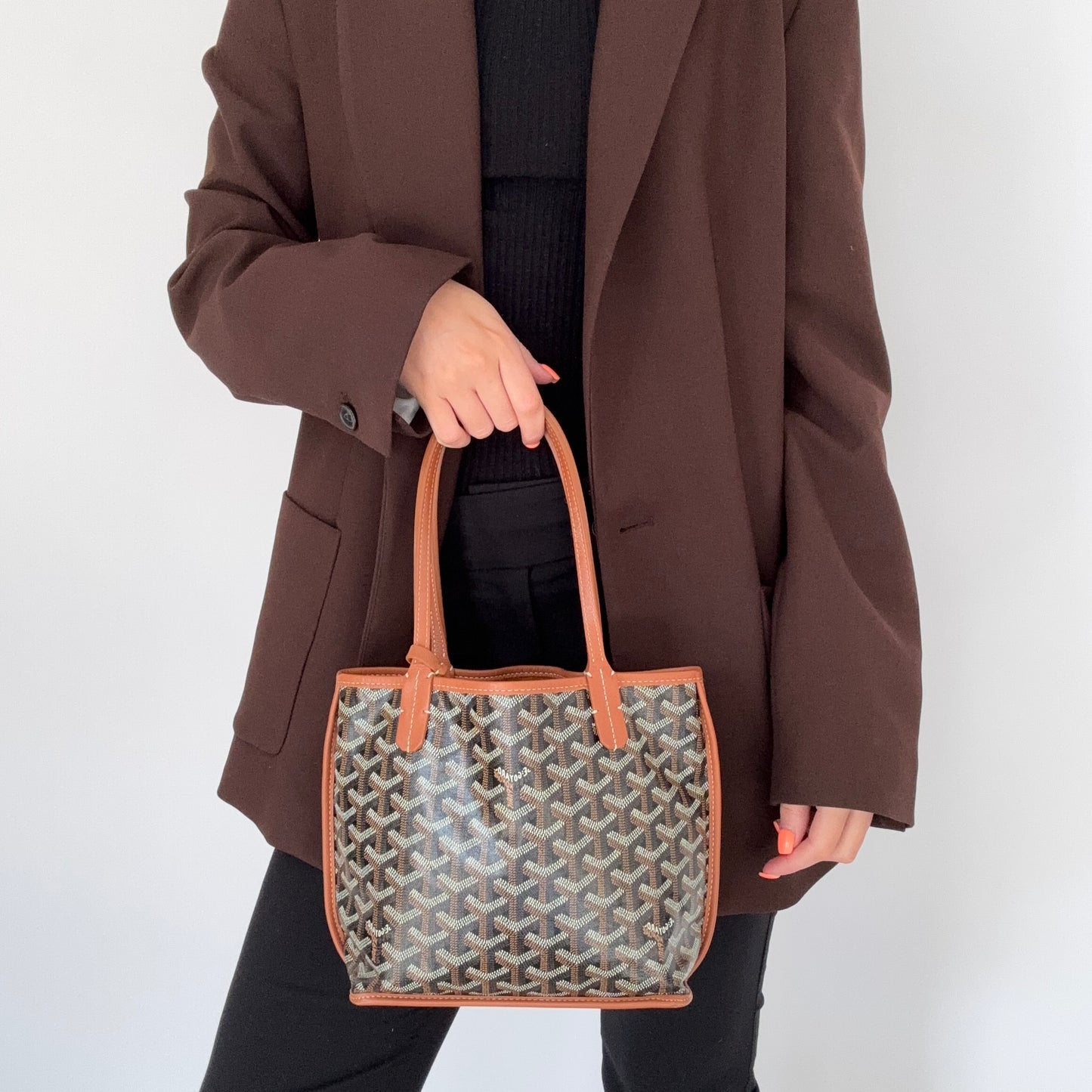 Goyard Bicolour Goyardine Reversible Anjou Mini Bag