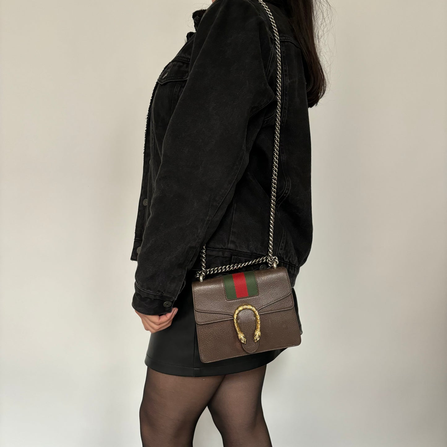 Gucci Brown Leather and Web Detail Mixed HW Mini Dionysus
