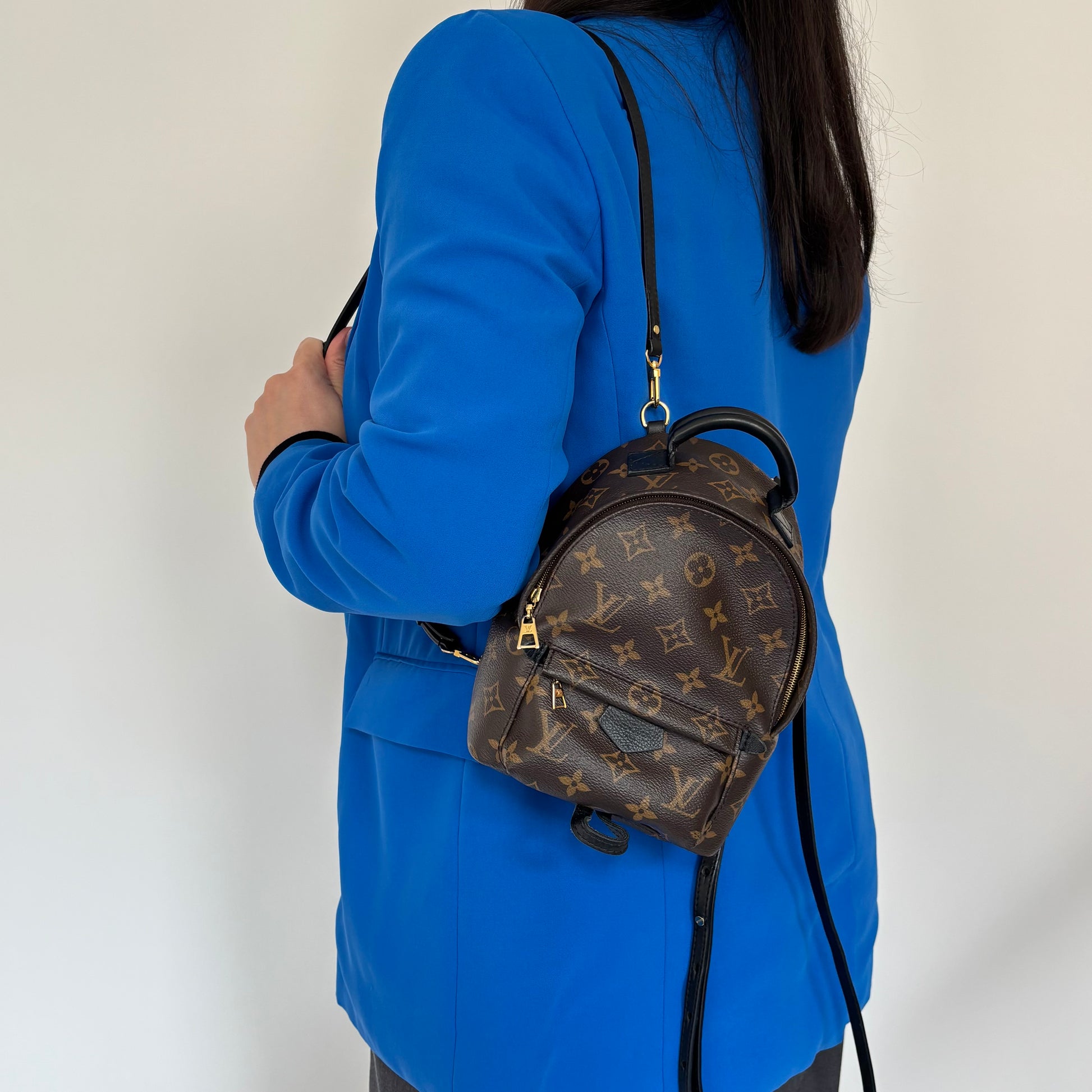 louis vuitton backpack mini blue Preowned Louis Vuitton Monogram Mini Palm Springs Backpack