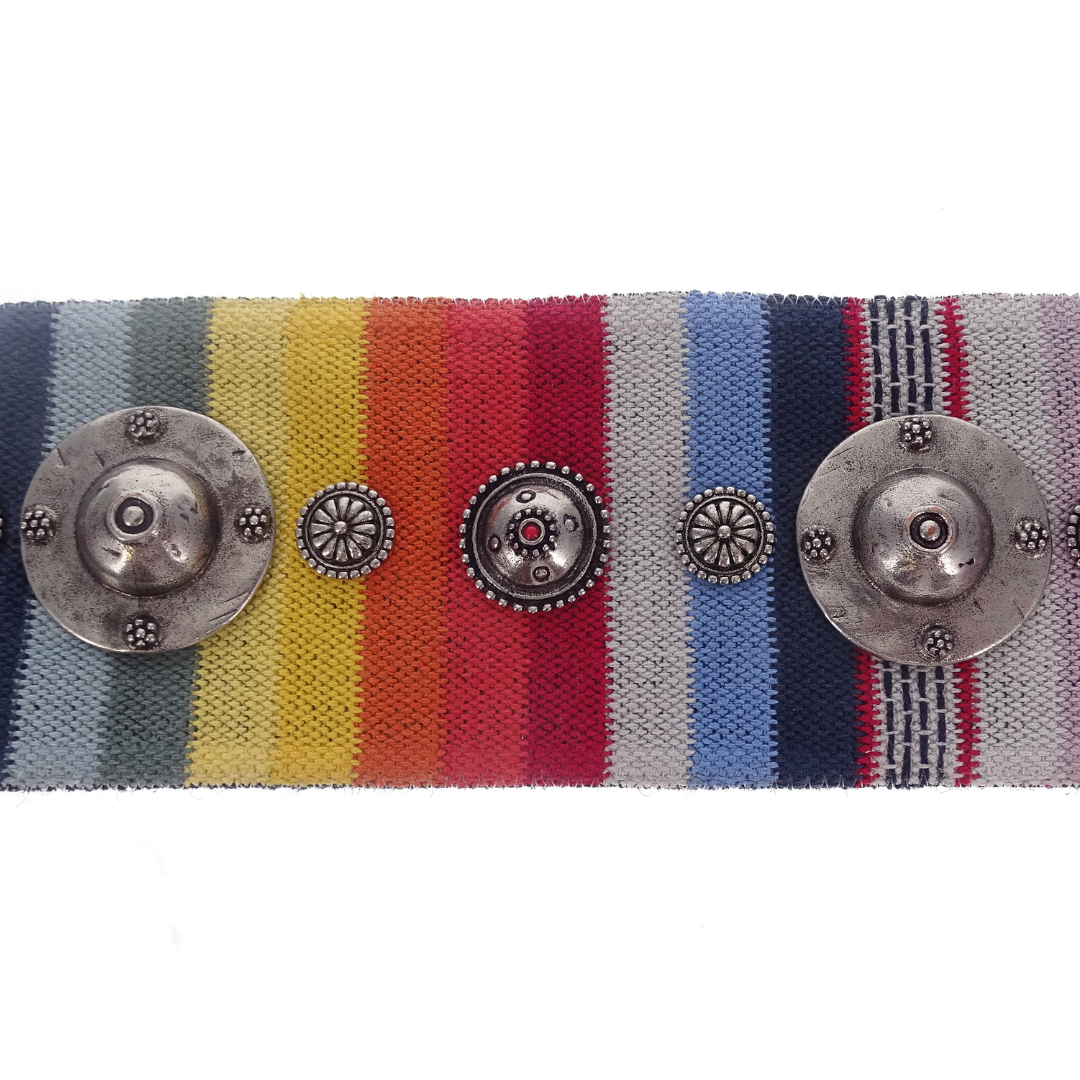 Dior Canvas Embroidered Studded Strap Multi Colour