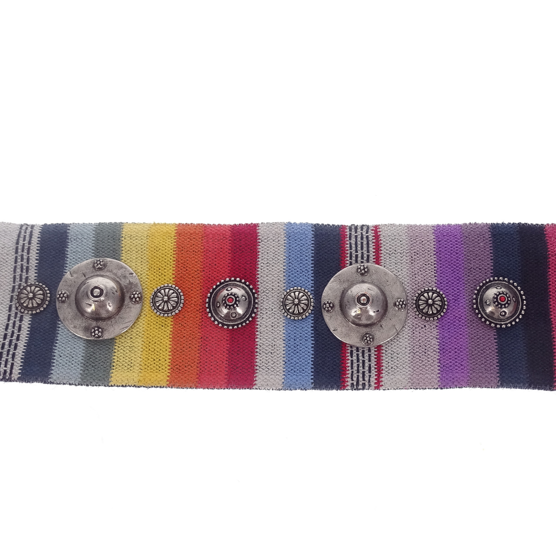 Dior Canvas Embroidered Studded Strap Multi Colour