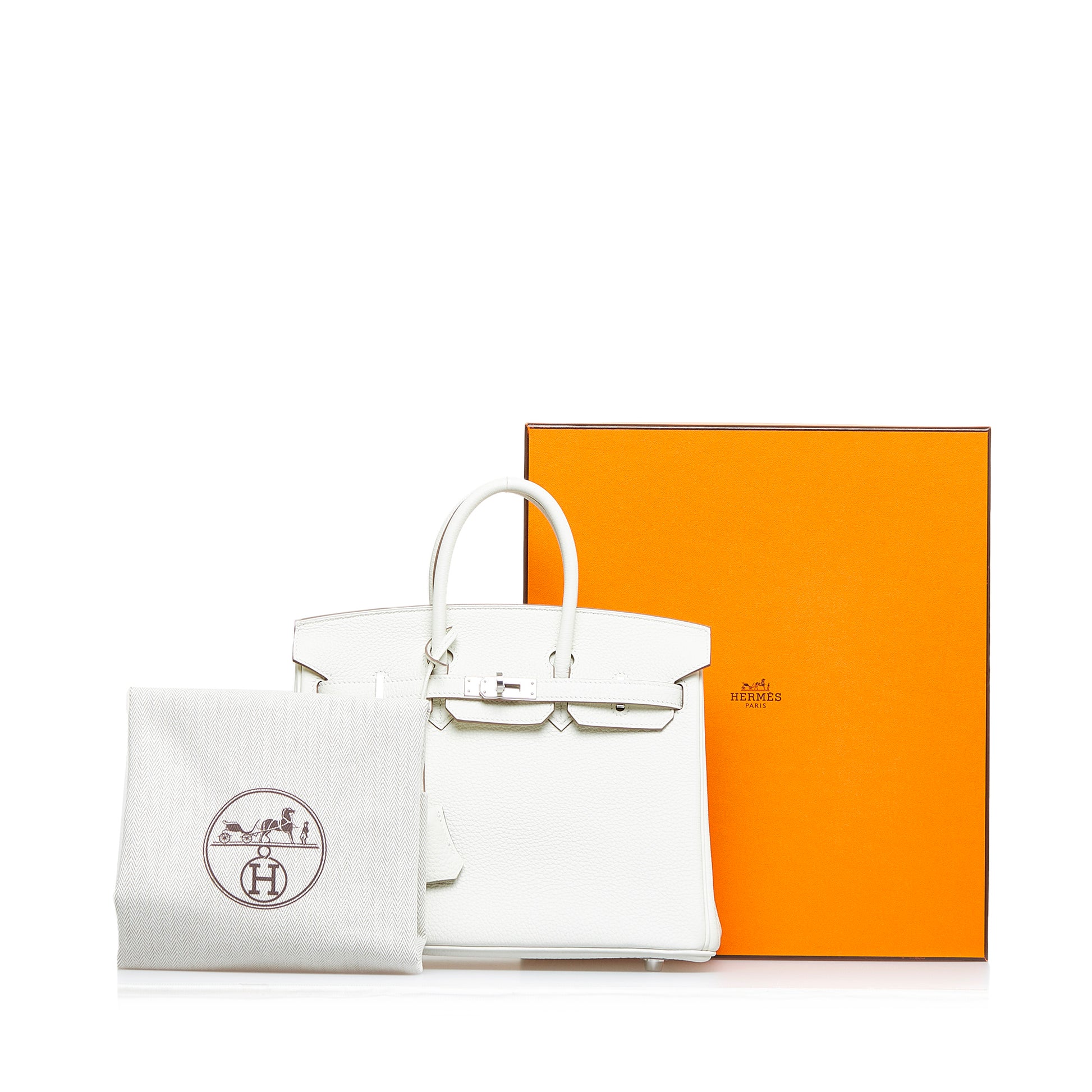 2022 Togo Birkin 25 Image# 12