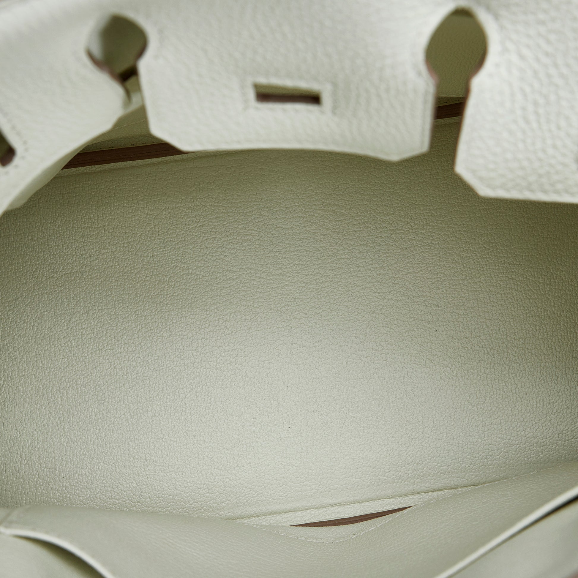 2022 Togo Birkin 25 Image# 5
